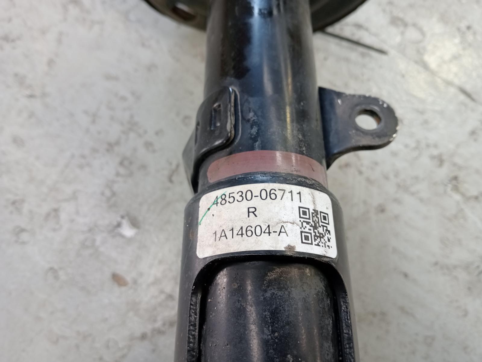 8981650