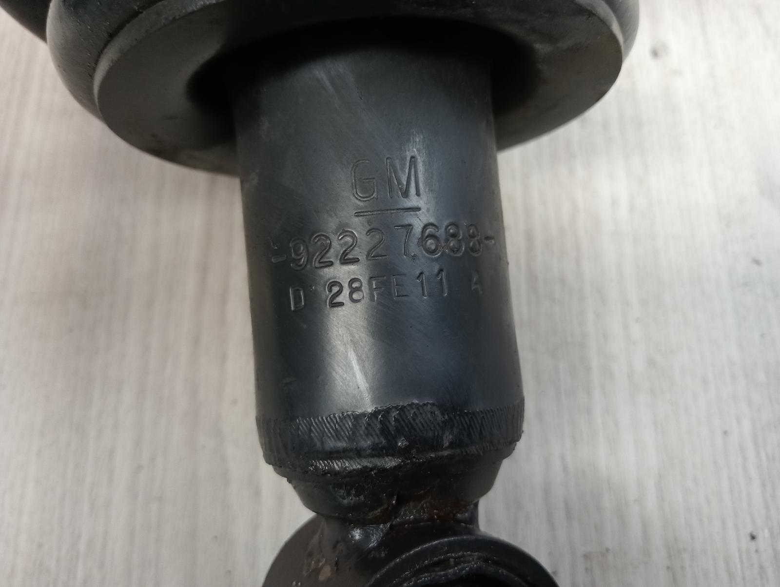 8877681
