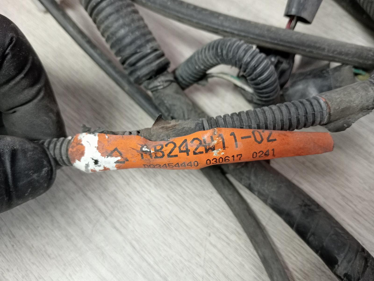 9049618