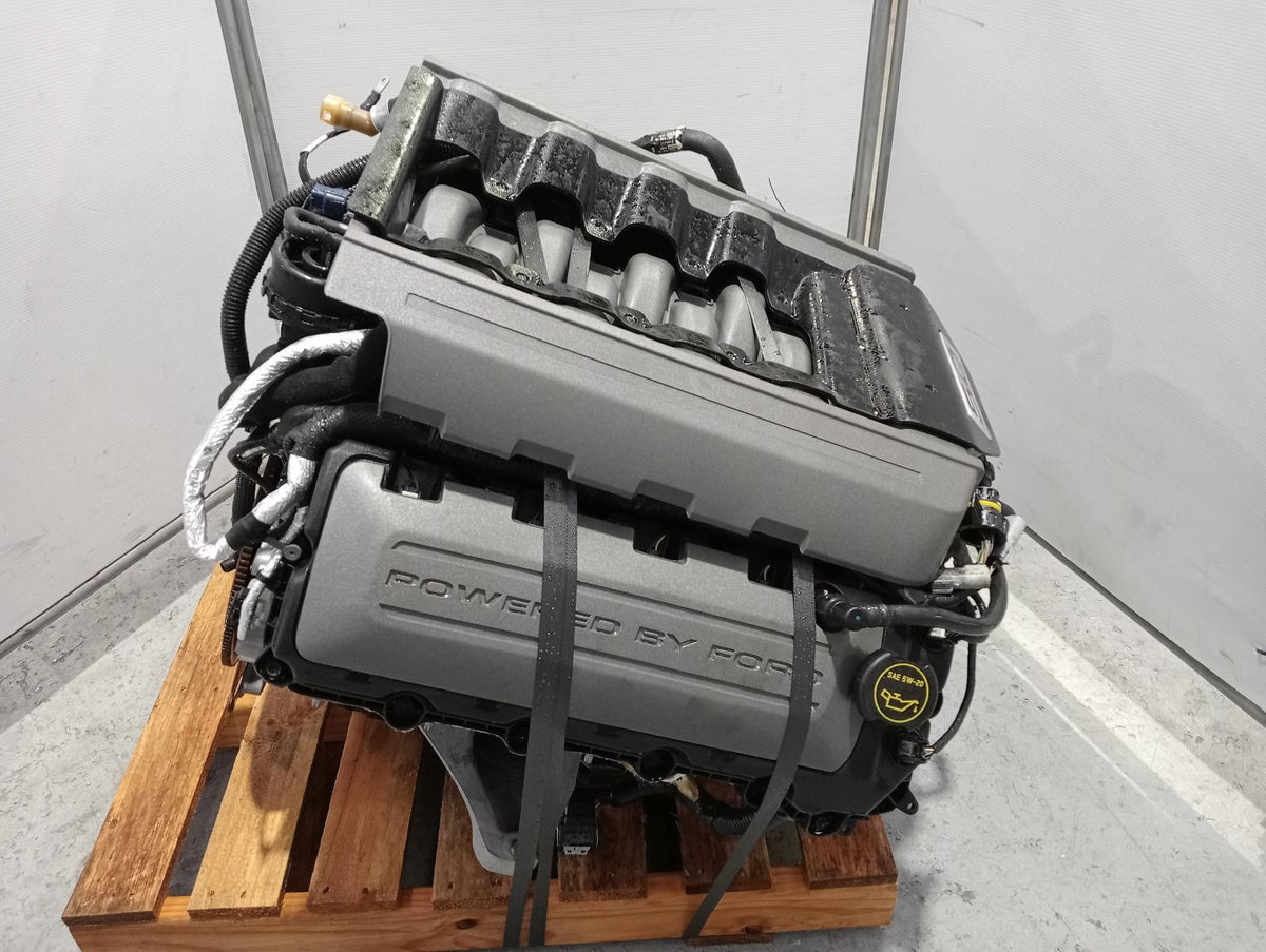 9005219