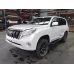 TOYOTA PRADO BOOTLID/TAILGATE TAILGATE, WAGON, NON SPARE WHEEL, W/ CAMERA TYPE,