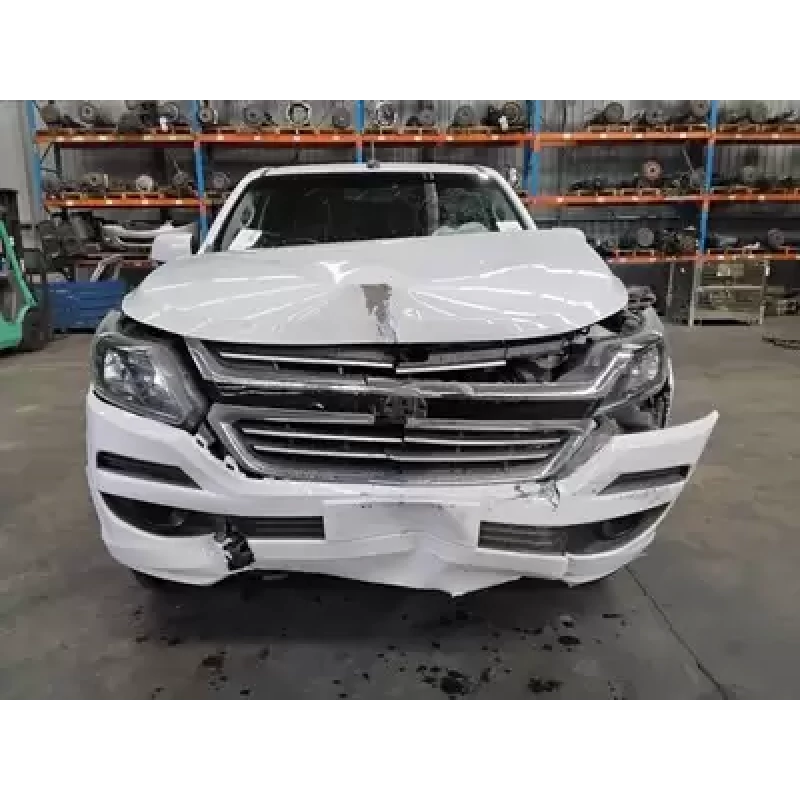 HOLDEN COLORADO BOOTLID/TAILGATE TAILGATE, RG, UTE BACK, W/ CAMERA IN HANDLE TYP