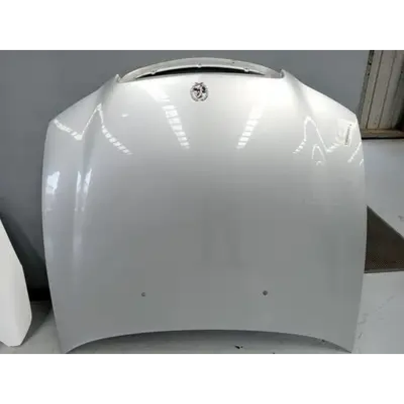 HOLDEN STATESMAN/CAPRICE BONNET WH, 06/99-04/03 2002