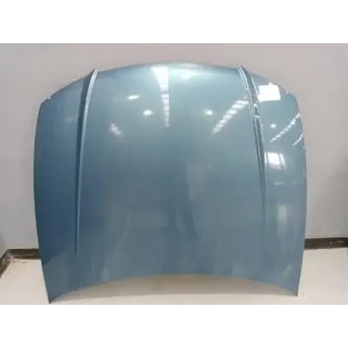 HOLDEN COMMODORE BONNET VZ, 08/04-09/07 2005