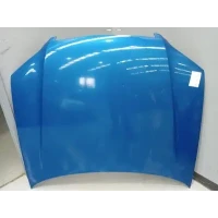 HOLDEN COMMODORE BONNET VE, 08/06-05/13 2011