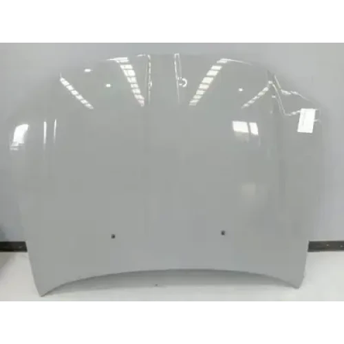 CHRYSLER 300C BONNET LX2, 12/11-12/21 2012 CHRYSLER 300C BONNET LX2, 12/11-12/21 2012