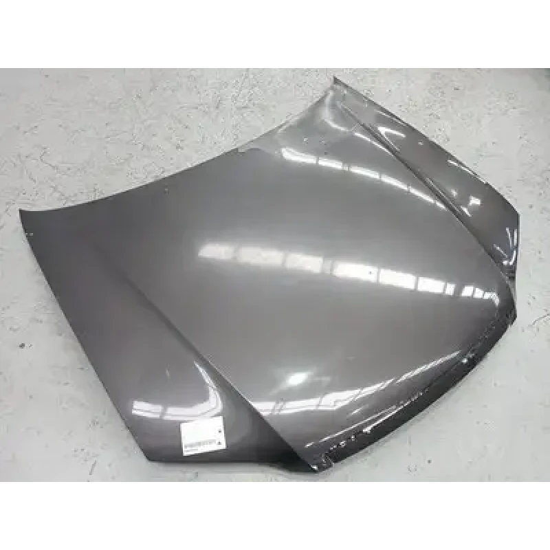 HOLDEN COMMODORE BONNET VE, 08/06-05/13 2006