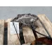 HOLDEN COMMODORE CALIPER RH FRONT, BREMBO TYPE (SILVER), V8, VF I, 05/13-08/15 2
