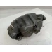 NISSAN NAVARA CALIPER D40 (VIN VSK), RH FRONT, YD25 TYPE, 10/05-08/15 2013