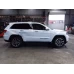 JEEP GRANDCHEROKEE COURTESY LIGHT FRONT, W/ SUNROOF SWITCH, W/ ELECT TAILGATE OP