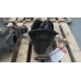 MAZDA BT50 DIFFERENTIAL CENTRE REAR, 2.2/3.2, DIESEL, MANUAL T/M, 4WD, 3.55 RATI