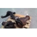 MITSUBISHI PAJERO DIFFERENTIAL CENTRE FRONT IFS, 3.2, 4M41, AUTO T/M, NS-NW, DIE