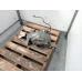 HOLDEN COMMODORE DIFFERENTIAL CENTRE VE, V6, 3.27 RATIO, NON LSD TYPE, 08/06-05/