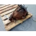 HOLDEN COMMODORE DIFFERENTIAL CENTRE VT, IRS STD, ABS TYPE, 09/97-09/00 1999