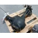 HOLDEN COLORADO DIFFERENTIAL CENTRE FRONT, RC, 3.72 RATIO (GT4), 05/08-12/11 201