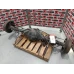 MITSUBISHI TRITON REAR DIFF ASSEMBLY 2.5, DIESEL, MANUAL T/M, 4WD, MN, 3.917 RAT