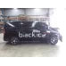 HYUNDAI ILOAD/IMAX LEFT REAR DOOR TQ, ILOAD, NON WINDOW TYPE, 11/07-03/21 2010