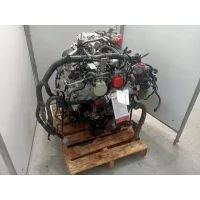 NISSAN NAVARA ENGINE D40, DIESEL, 3.0, V9X, TURBO, VIN VSK, 05/10-08/15 2014 300