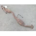 HOLDEN COMMODORE CATALYTIC CONVERTER VZ S1, V6 (STANDARD MOTOR), LH SIDE, 1 OXY