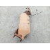 MITSUBISHI TRITON CATALYTIC CONVERTER DOWNPIPE-CAT TYPE, 3.2, DIESEL, ML, 07/06-