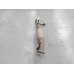 FORD RANGER CATALYTIC CONVERTER UNDER CAR-CAT TYPE, 2.5/3.0, DIESEL, AUTO T/M, P