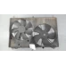 SUZUKI VITARA FAN DUAL FAN ASSY, 2.4, PETROL, GRAND VITARA, JT, 08/08-12/18 2010