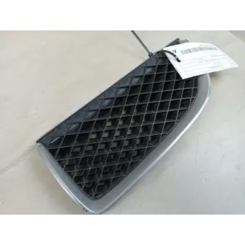 HOLDEN COMMODORE GRILLE VX, LH SIDE, EXEC/ACCLAIM, 08/01-09/02 2002