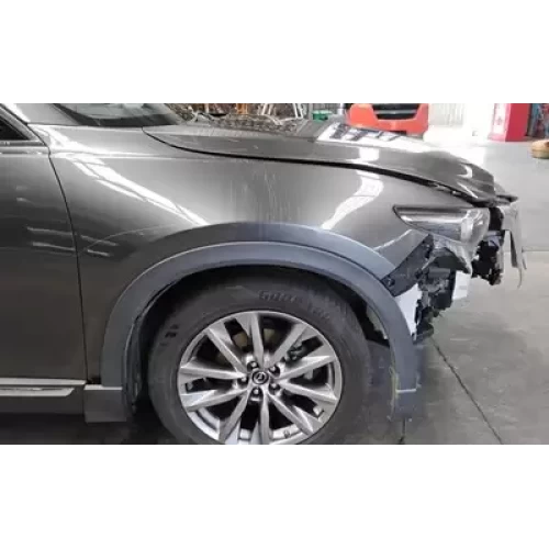MAZDA CX9 RIGHT GUARD TC, 07/16-12/24 2018
