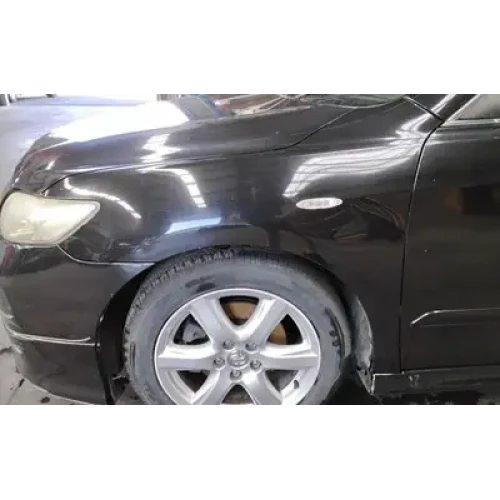 TOYOTA CAMRY LEFT GUARD ACV40/AHV40, 06/06-11/11 2008