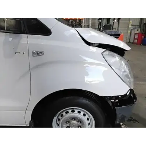 HYUNDAI ILOAD/IMAX RIGHT GUARD TQ, iLOAD, NON MOULD TYPE, 11/07-02/18 2013