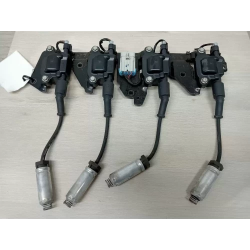 HOLDEN COMMODORE COIL/COIL PACK V8, VE, 08/06-05/13 2010