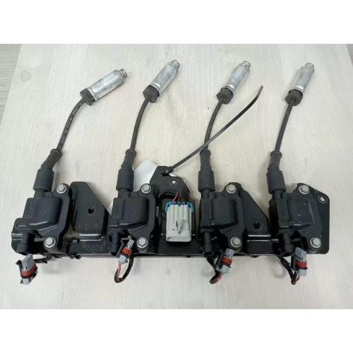 HOLDEN COMMODORE COIL/COIL PACK V8, VE, 08/06-05/13 2010