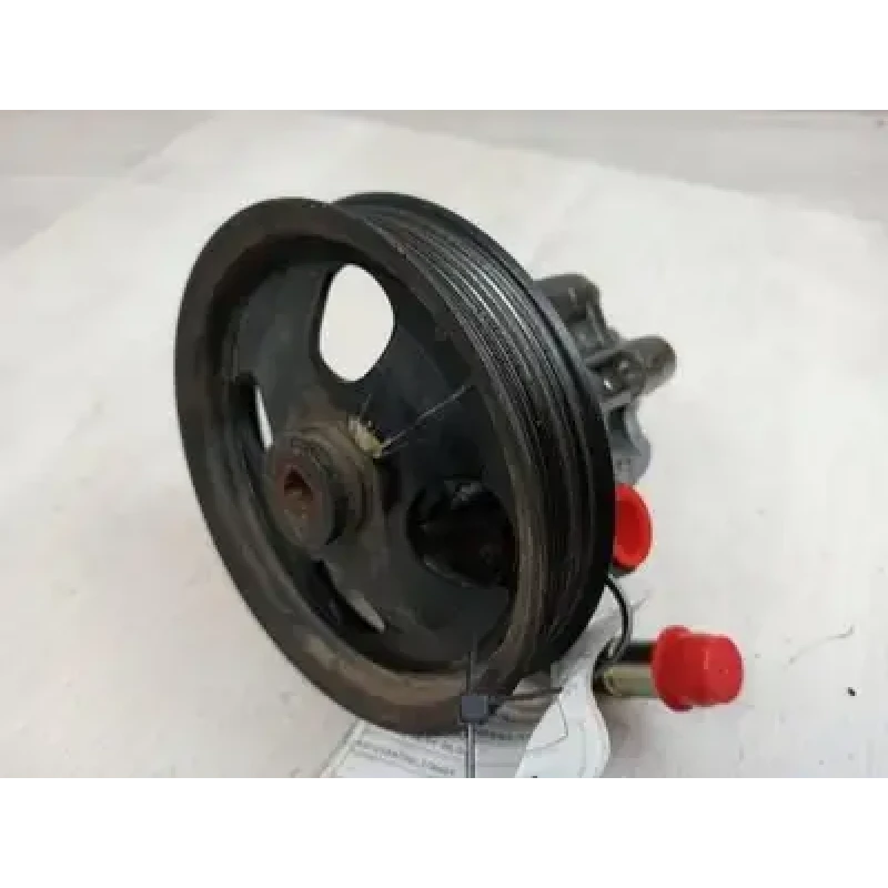 HOLDEN STATESMAN/CAPRICE STEERING PUMP 3.6, WL, 08/04-08/06 2004