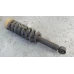 HOLDEN COLORADO RIGHT FRONT STRUT 4WD, RG, 01/12-06/16 2014