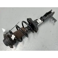 HOLDEN EQUINOX LEFT FRONT STRUT EQ, 09/17-12/20 2018