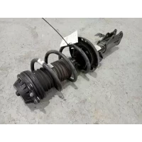 HOLDEN EQUINOX RIGHT FRONT STRUT EQ, 09/17-12/20 2018
