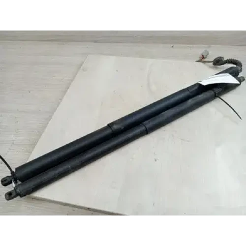 FORD ESCAPE HATCH STRUT ZG, TAILGATE STRUTS (PAIR), W/ POWER LIFTGATE TYPE, 09/1 FORD ESCAPE HATCH STRUT ZG, TAILGATE STRUTS (PAIR), W/ POWER LIFTGATE TYPE, 09/1