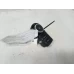 HOLDEN CRUZE COMBINATION SWITCH HEADLAMP SWITCH, JG, 03/09-02/11 2010