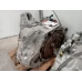 HYUNDAI STARIA TRANS/GEARBOX AUTO, DIESEL, 2.2, TURBO, D4HB, 2WD, US4, 04/21- 20